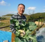 収穫したばかりのカリフラワー を持ってうれしそうなご主人
