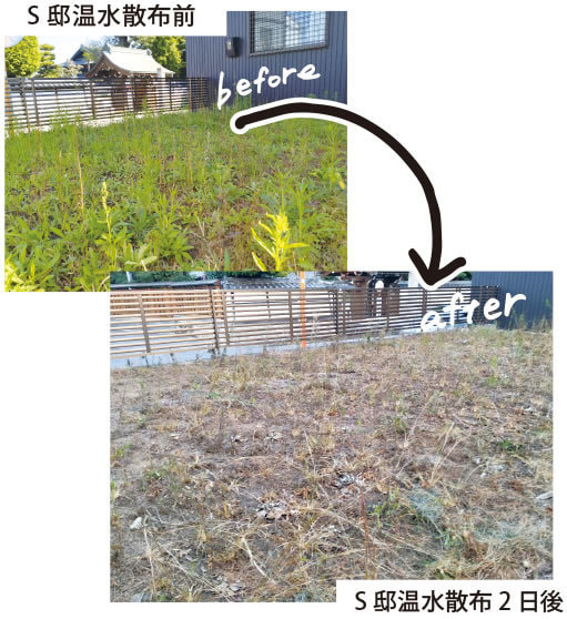 温水散布除草の事例1